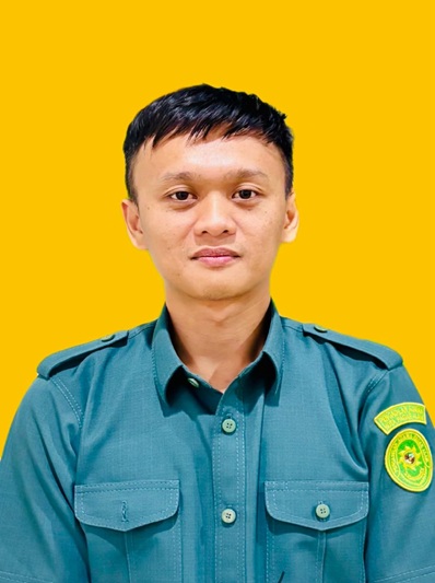 Teddy Nopransi Afrizal, S.Kom.